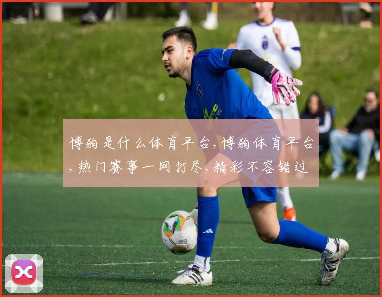 博狗是什么体育平台,博狗体育平台,热门赛事一网打尽,精彩不容错过, commas分隔